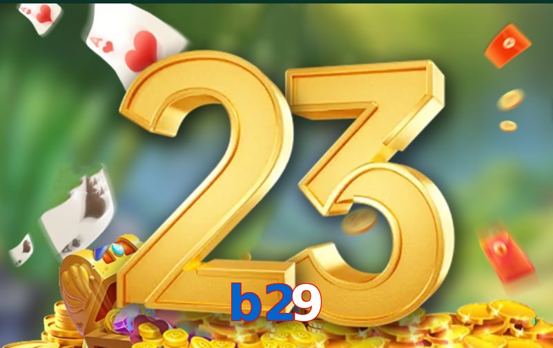 b29